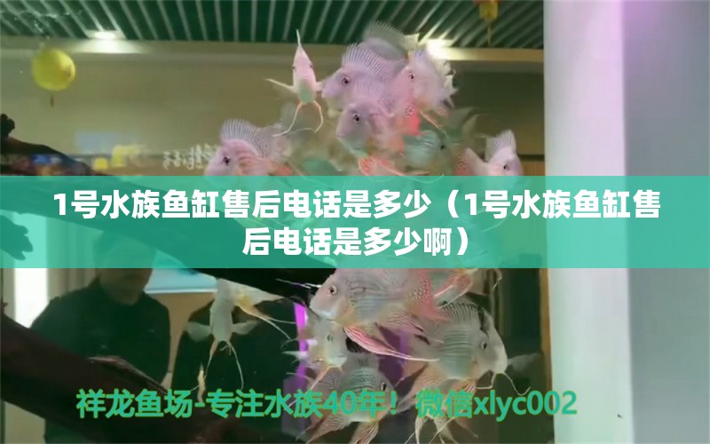 1號水族魚缸售后電話是多少（1號水族魚缸售后電話是多少?。? title=