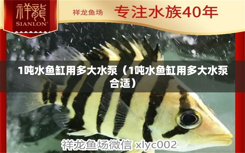 1噸水魚(yú)缸用多大水泵（1噸水魚(yú)缸用多大水泵合適） 其他品牌魚(yú)缸