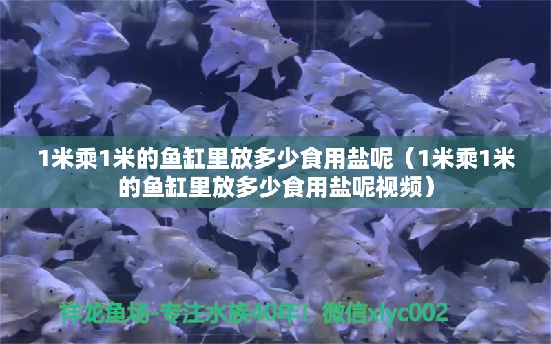 1米乘1米的魚缸里放多少食用鹽呢（1米乘1米的魚缸里放多少食用鹽呢視頻） 魚缸百科