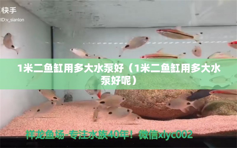 1米二魚缸用多大水泵好（1米二魚缸用多大水泵好呢）