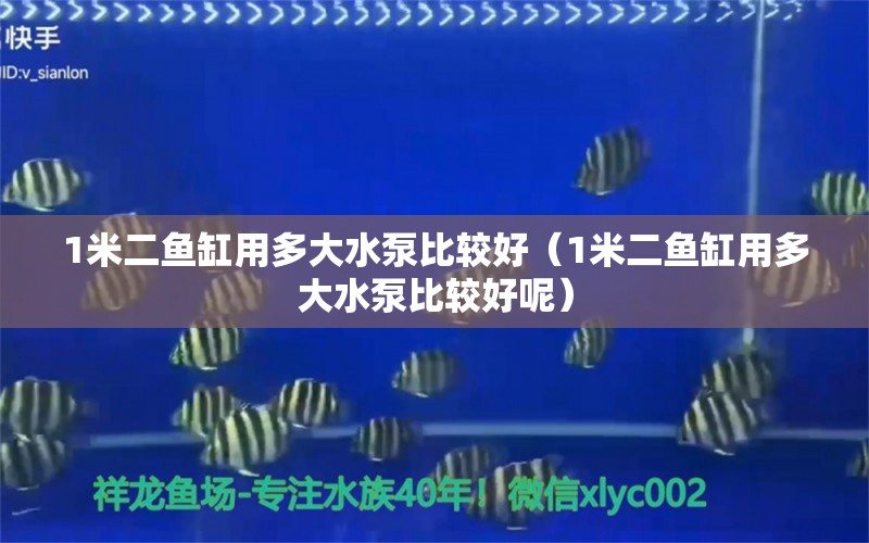 1米二魚缸用多大水泵比較好（1米二魚缸用多大水泵比較好呢）