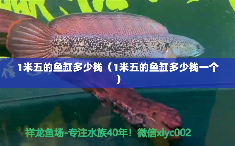 1米五的魚(yú)缸多少錢（1米五的魚(yú)缸多少錢一個(gè)） 其他品牌魚(yú)缸