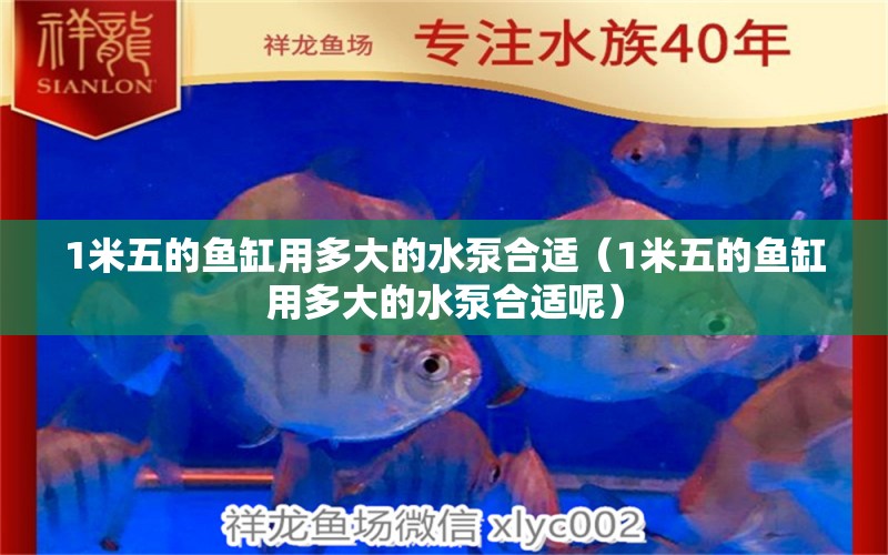 1米五的魚缸用多大的水泵合適（1米五的魚缸用多大的水泵合適呢） 魚缸百科