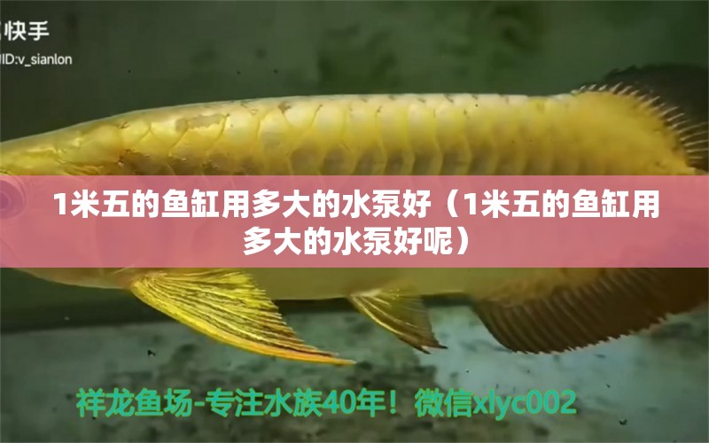 1米五的魚缸用多大的水泵好（1米五的魚缸用多大的水泵好呢）