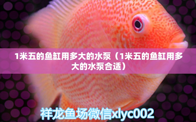 1米五的魚缸用多大的水泵（1米五的魚缸用多大的水泵合適）