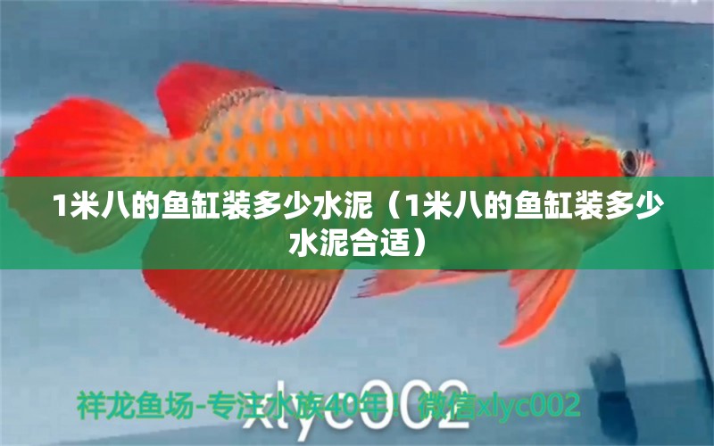 1米八的魚(yú)缸裝多少水泥（1米八的魚(yú)缸裝多少水泥合適）