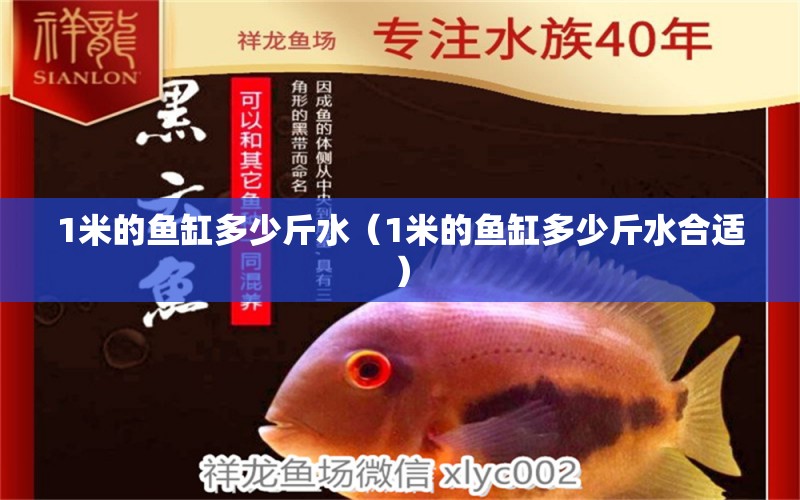 1米的魚缸多少斤水（1米的魚缸多少斤水合適）