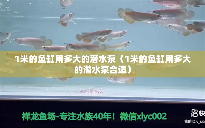 1米的魚缸用多大的潛水泵（1米的魚缸用多大的潛水泵合適）