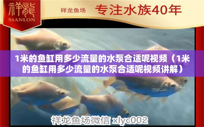 1米的魚(yú)缸用多少流量的水泵合適呢視頻（1米的魚(yú)缸用多少流量的水泵合適呢視頻講解）