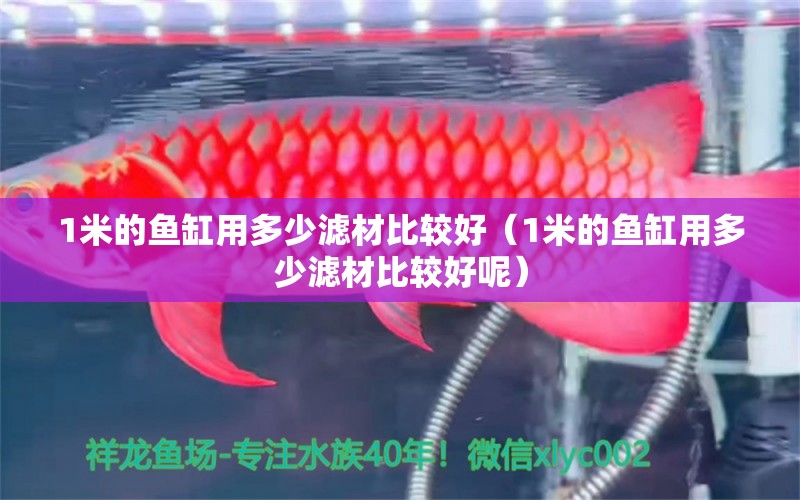 1米的魚(yú)缸用多少濾材比較好（1米的魚(yú)缸用多少濾材比較好呢）