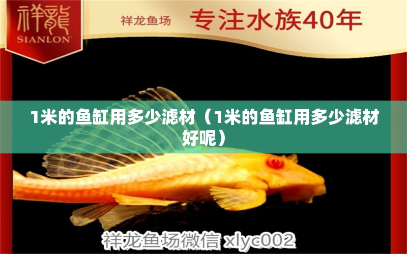 1米的魚缸用多少濾材（1米的魚缸用多少濾材好呢）