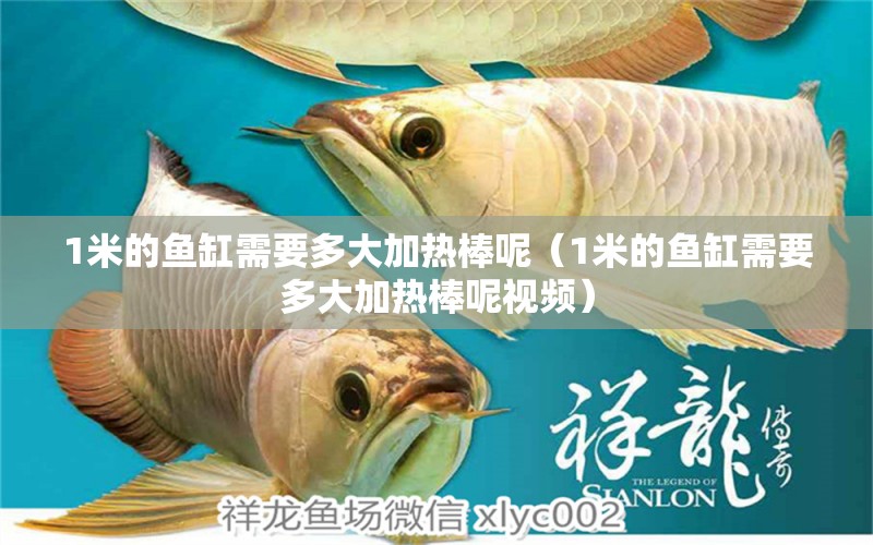 1米的魚缸需要多大加熱棒呢（1米的魚缸需要多大加熱棒呢視頻）