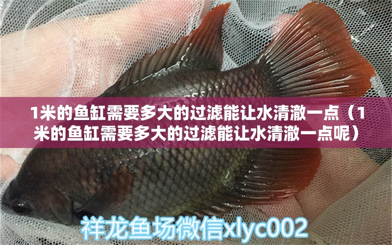 1米的魚缸需要多大的過濾能讓水清澈一點(diǎn)（1米的魚缸需要多大的過濾能讓水清澈一點(diǎn)呢）