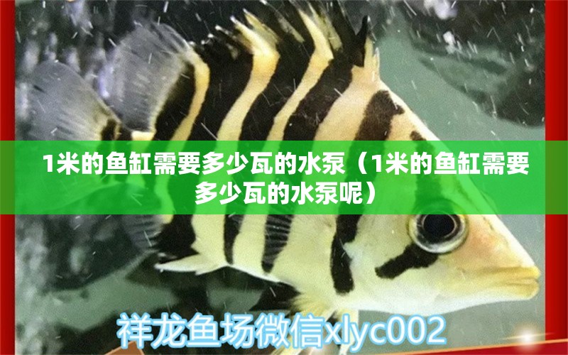 1米的魚缸需要多少瓦的水泵（1米的魚缸需要多少瓦的水泵呢） 魚缸百科