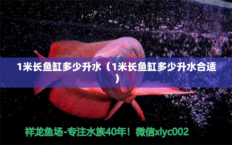 1米長(zhǎng)魚缸多少升水（1米長(zhǎng)魚缸多少升水合適） 其他品牌魚缸 第1張