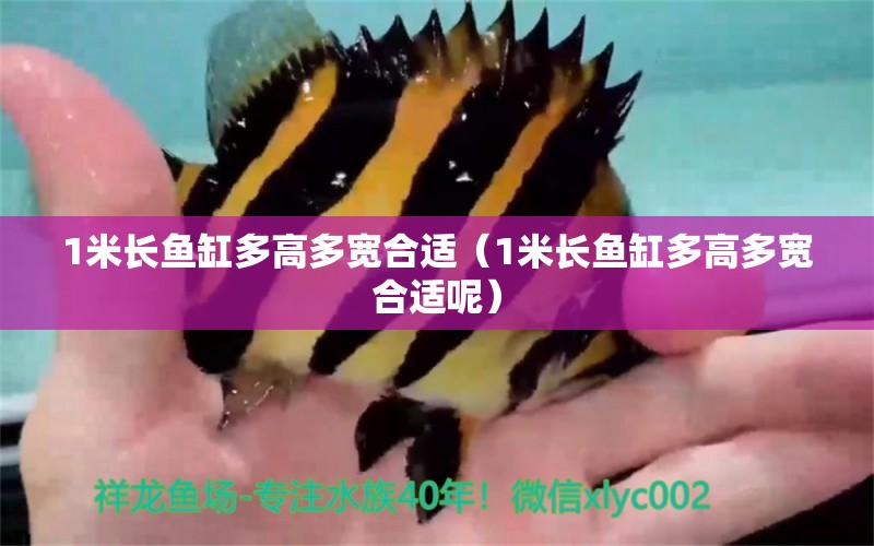 1米長魚缸多高多寬合適（1米長魚缸多高多寬合適呢）