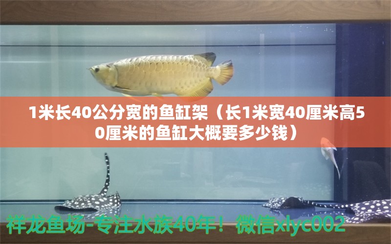 1米長40公分寬的魚缸架（長1米寬40厘米高50厘米的魚缸大概要多少錢） 熱帶魚魚苗批發(fā)