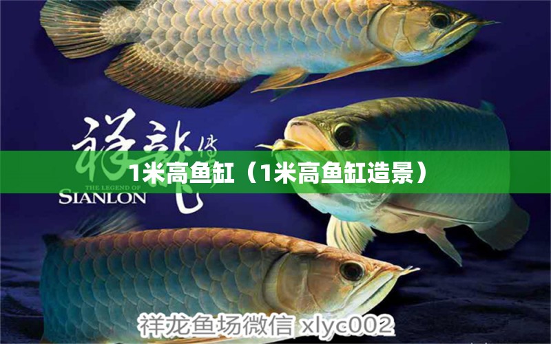 1米高魚缸（1米高魚缸造景）