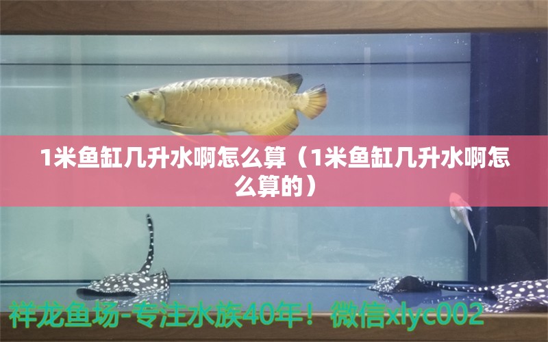 1米魚缸幾升水啊怎么算（1米魚缸幾升水啊怎么算的）