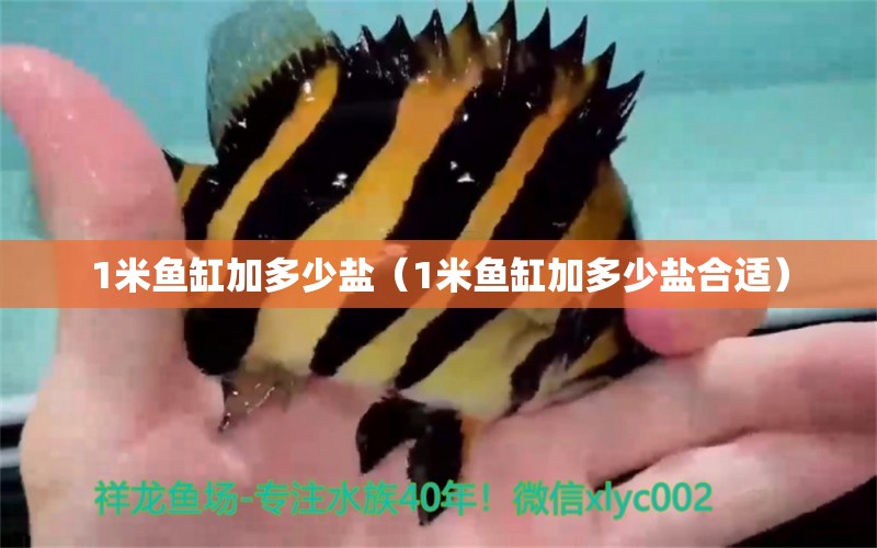 1米魚缸加多少鹽（1米魚缸加多少鹽合適）