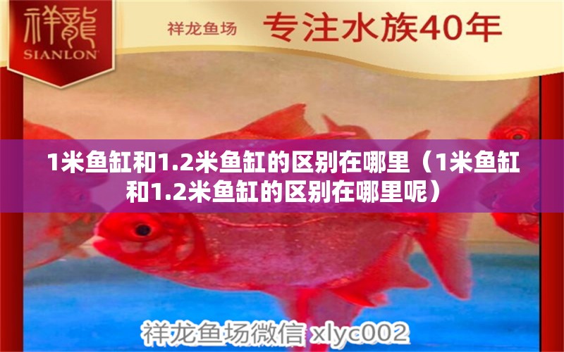 1米魚(yú)缸和1.2米魚(yú)缸的區(qū)別在哪里（1米魚(yú)缸和1.2米魚(yú)缸的區(qū)別在哪里呢）