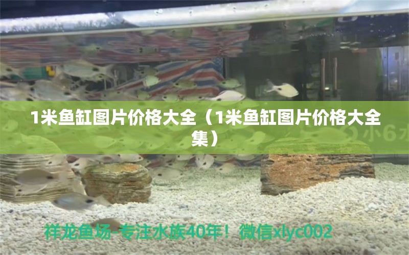 1米魚缸圖片價格大全（1米魚缸圖片價格大全集）