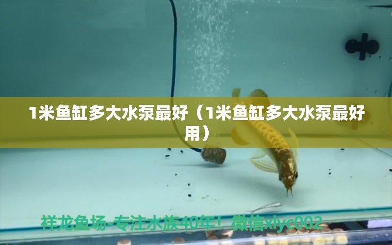 1米魚缸多大水泵最好（1米魚缸多大水泵最好用） 魚缸百科