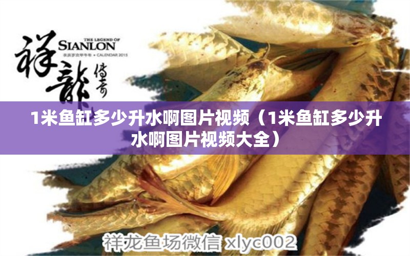 1米魚(yú)缸多少升水啊圖片視頻（1米魚(yú)缸多少升水啊圖片視頻大全）