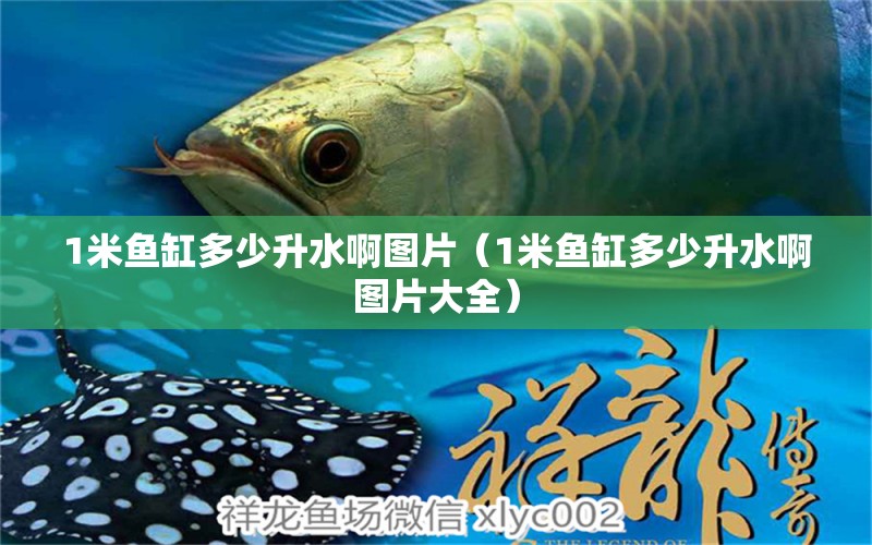 1米魚缸多少升水啊圖片（1米魚缸多少升水啊圖片大全）