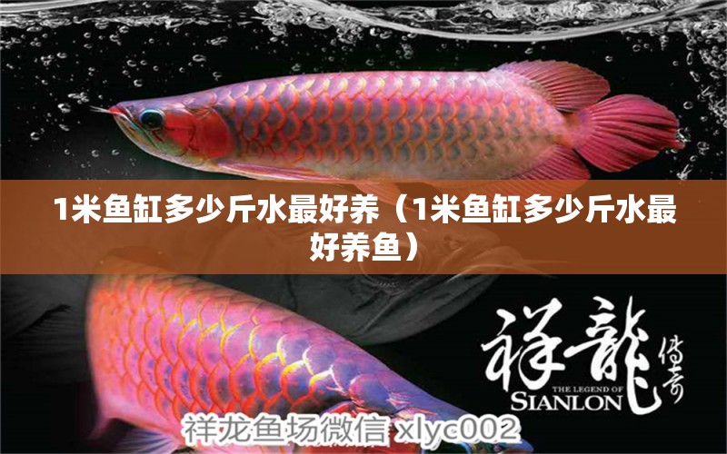 1米魚缸多少斤水最好養(yǎng)（1米魚缸多少斤水最好養(yǎng)魚） 魚缸百科