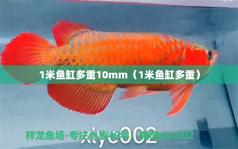 1米魚缸多重10mm（1米魚缸多重）