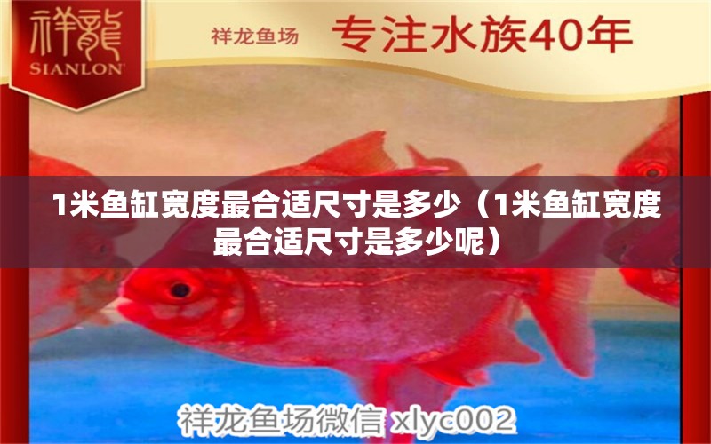 1米魚(yú)缸寬度最合適尺寸是多少（1米魚(yú)缸寬度最合適尺寸是多少呢）