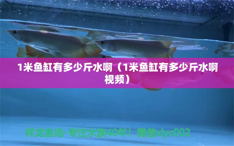 1米魚缸有多少斤水?。?米魚缸有多少斤水啊視頻） 魚缸百科