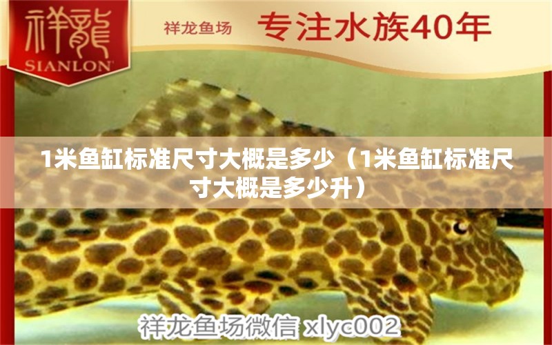 1米魚缸標準尺寸大概是多少（1米魚缸標準尺寸大概是多少升） 魚缸百科