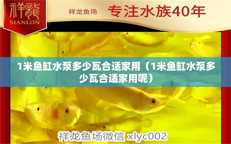 1米魚(yú)缸水泵多少瓦合適家用（1米魚(yú)缸水泵多少瓦合適家用呢） 魚(yú)缸水泵