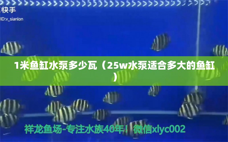 1米魚缸水泵多少瓦（25w水泵適合多大的魚缸）