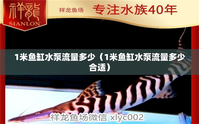 1米魚(yú)缸水泵流量多少（1米魚(yú)缸水泵流量多少合適）