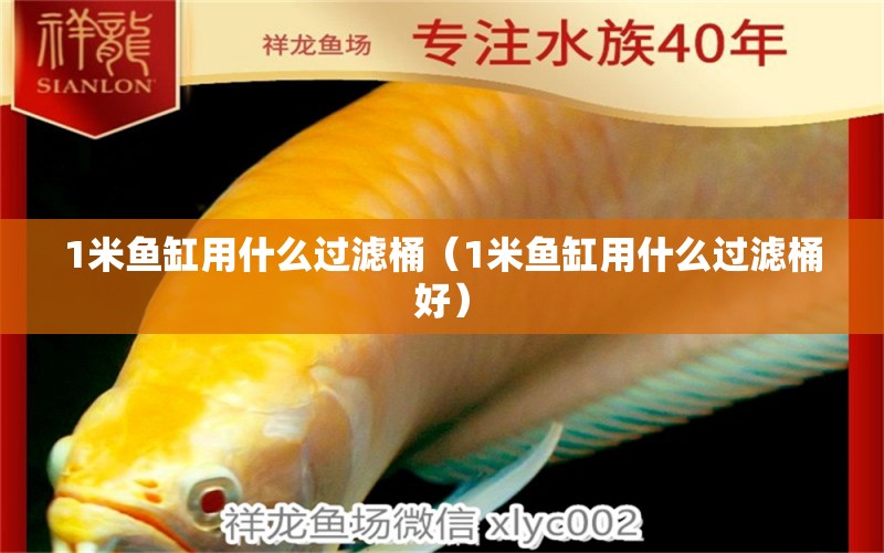 1米魚缸用什么過濾桶（1米魚缸用什么過濾桶好） 魚缸百科