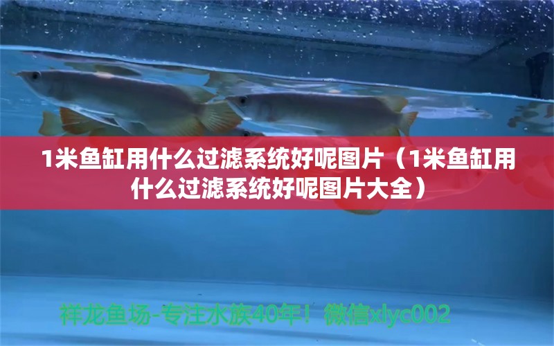 1米魚缸用什么過(guò)濾系統(tǒng)好呢圖片（1米魚缸用什么過(guò)濾系統(tǒng)好呢圖片大全）