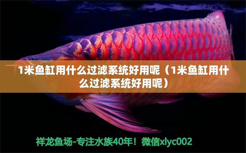 1米魚缸用什么過(guò)濾系統(tǒng)好用呢（1米魚缸用什么過(guò)濾系統(tǒng)好用呢）