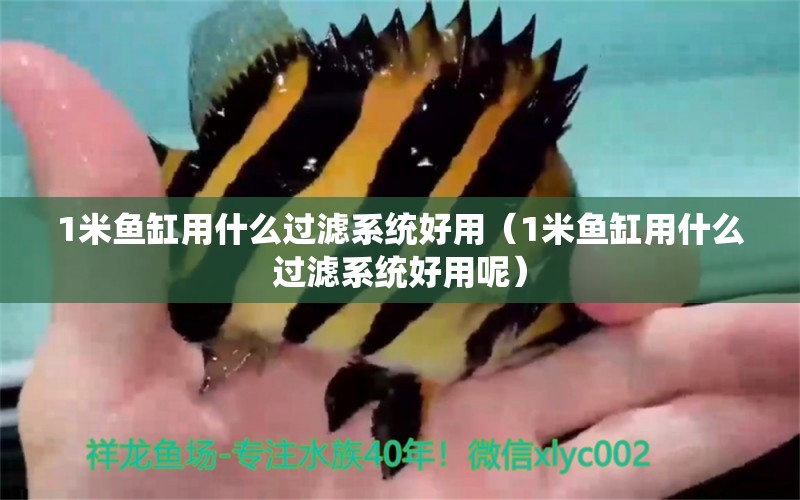 1米魚缸用什么過濾系統(tǒng)好用（1米魚缸用什么過濾系統(tǒng)好用呢）