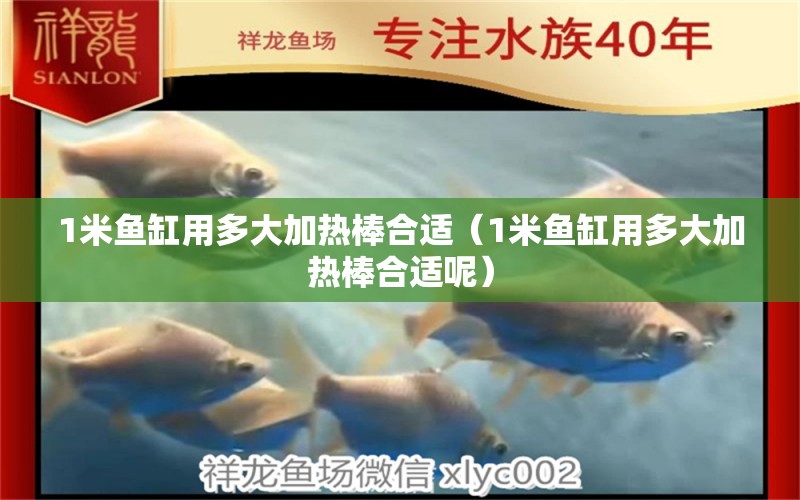 1米魚缸用多大加熱棒合適（1米魚缸用多大加熱棒合適呢）