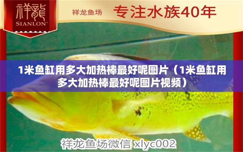 1米魚缸用多大加熱棒最好呢圖片（1米魚缸用多大加熱棒最好呢圖片視頻） 魚缸百科