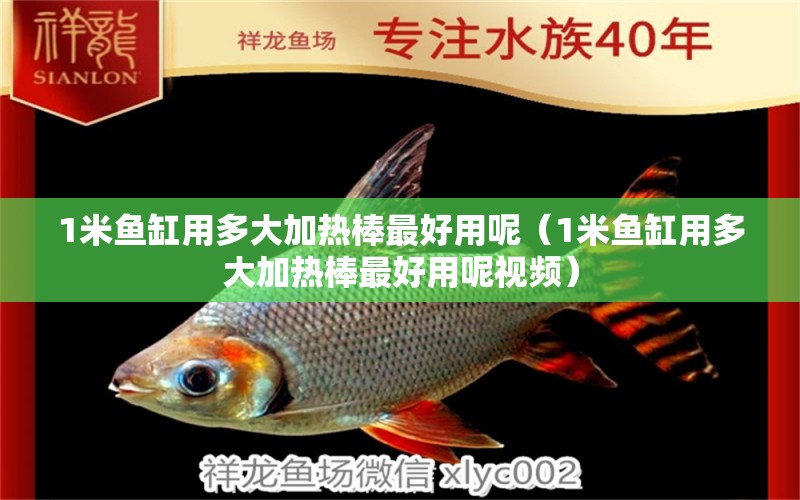 1米魚(yú)缸用多大加熱棒最好用呢（1米魚(yú)缸用多大加熱棒最好用呢視頻） 魚(yú)缸百科