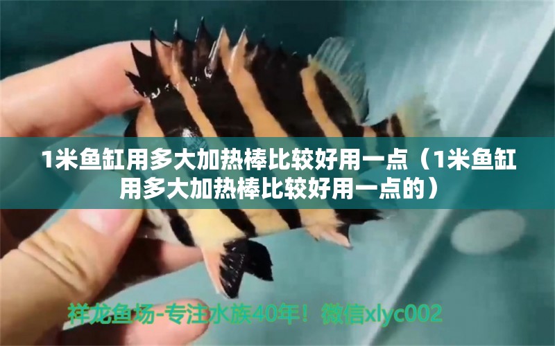 1米魚缸用多大加熱棒比較好用一點(diǎn)（1米魚缸用多大加熱棒比較好用一點(diǎn)的） 魚缸百科