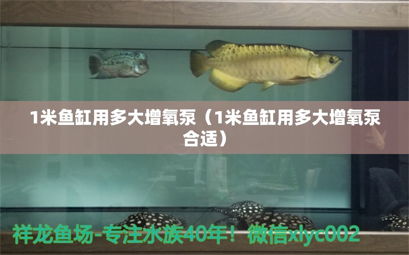 1米魚缸用多大增氧泵（1米魚缸用多大增氧泵合適） 其他品牌魚缸