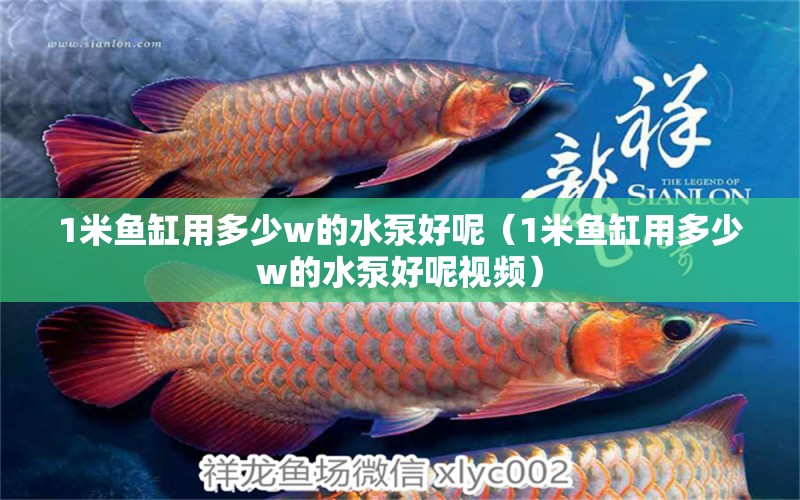 1米魚缸用多少w的水泵好呢（1米魚缸用多少w的水泵好呢視頻）