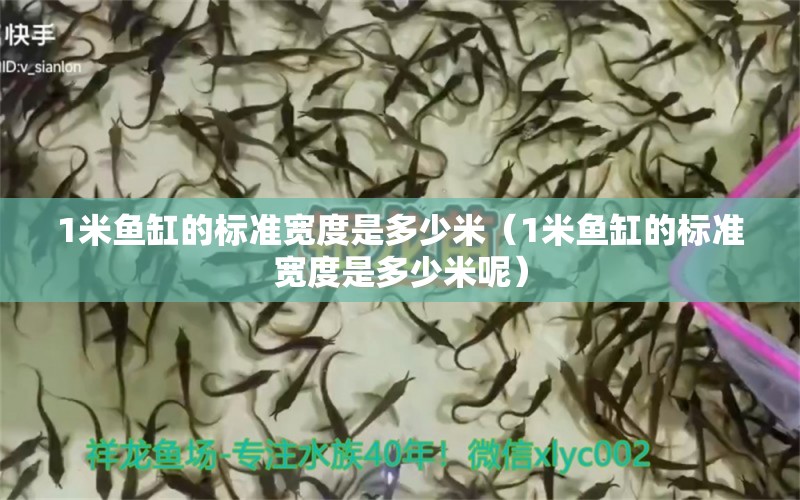 1米魚缸的標(biāo)準(zhǔn)寬度是多少米（1米魚缸的標(biāo)準(zhǔn)寬度是多少米呢）