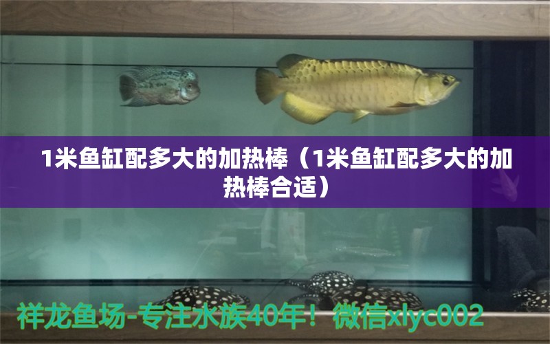 1米魚缸配多大的加熱棒（1米魚缸配多大的加熱棒合適）