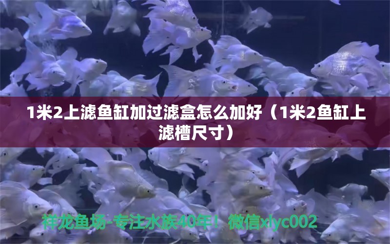 1米2上濾魚缸加過濾盒怎么加好（1米2魚缸上濾槽尺寸） 魚缸百科